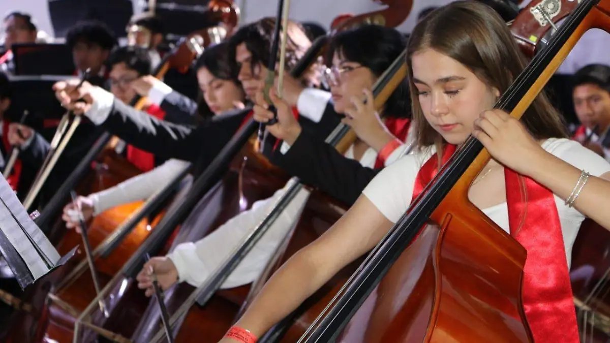 Licenciatura en educación musical (4)